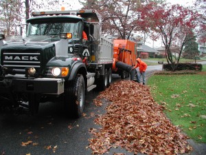 Leafpickup