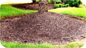 Mulching2